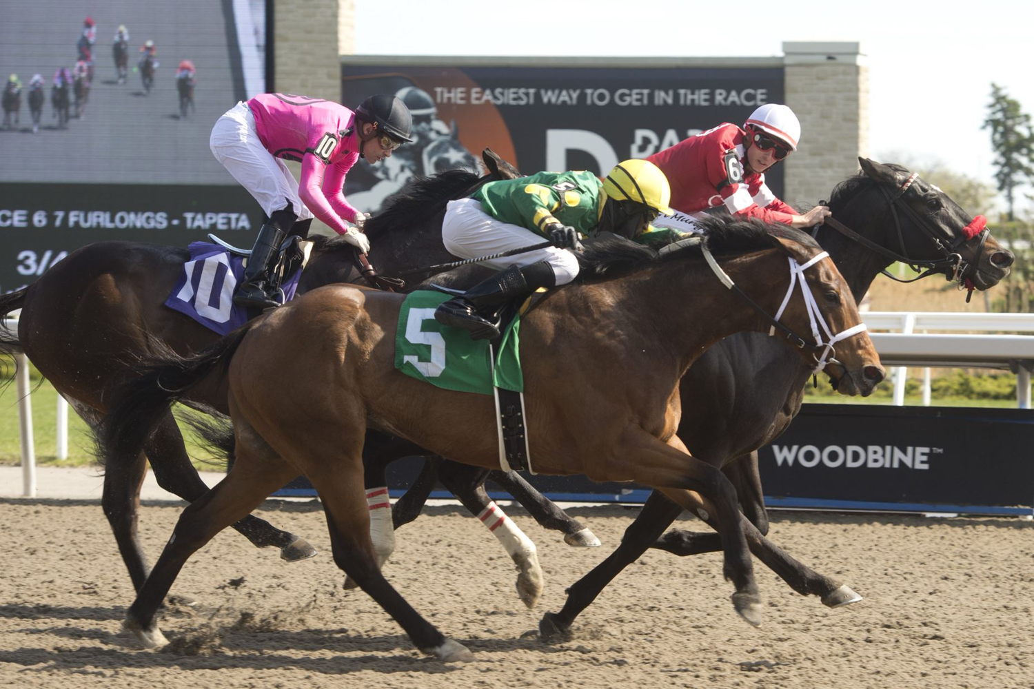 Silent Miracle and jockey Ryan Munger winning race 6 on May 6, 2023 at Woodbine (Michael Burns Photo)
