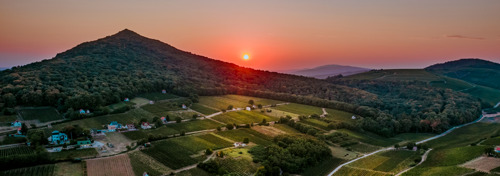 Op deze 10 plaatsen in Hongarije halen wijnliefhebbers hun hart op