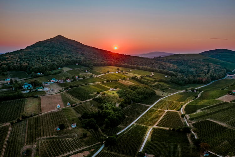 Villány 