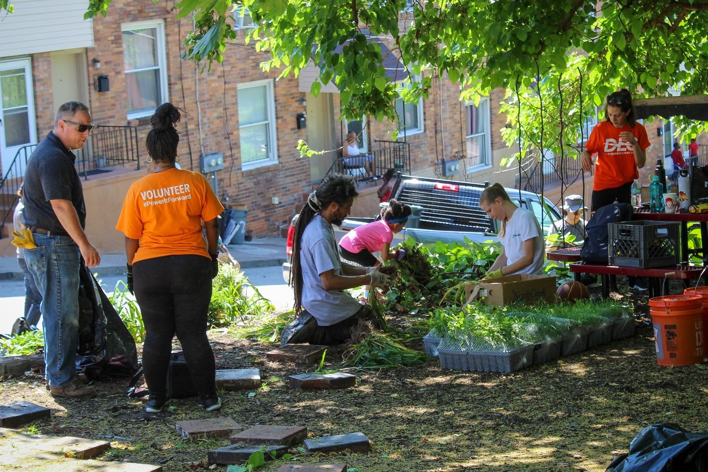 Masoud Sayles (center) of Grounded Strategies, separates flowers during an planting event with Duquesne Light Co. in Pittsburgh's Hill District on June 17, 2022.