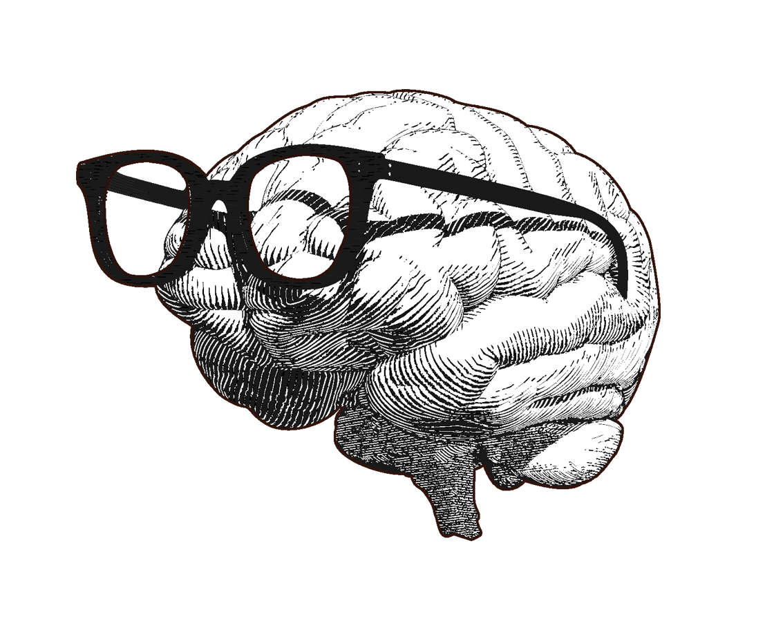 Hoe verwerkt ons brein visuele prikkels?