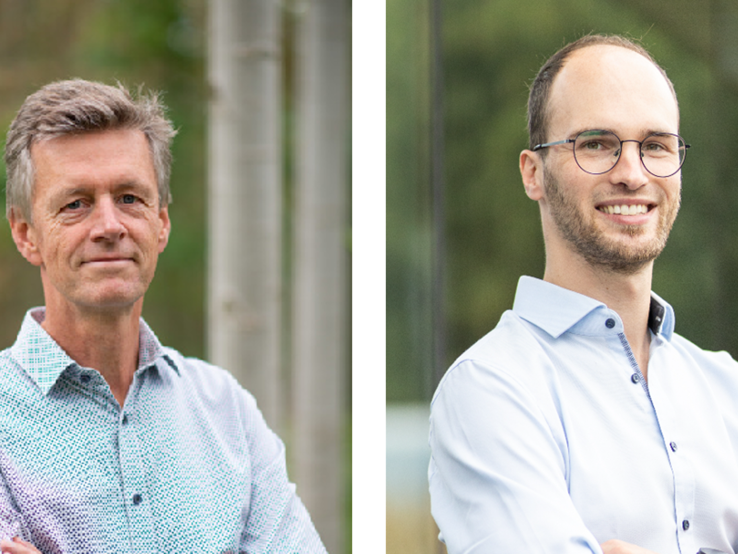 Transgene-free genome editing in poplar trees: a step toward sustainable forestry 