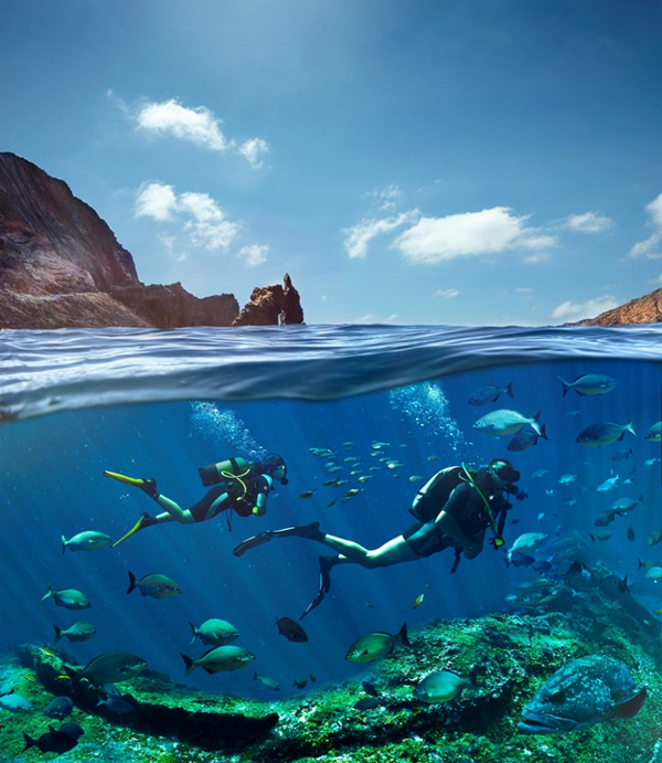 Les Îles Canaries organisent leur premier ‘concours de photographie sous-marine’ avec des prix dépassant les 25 000 euros