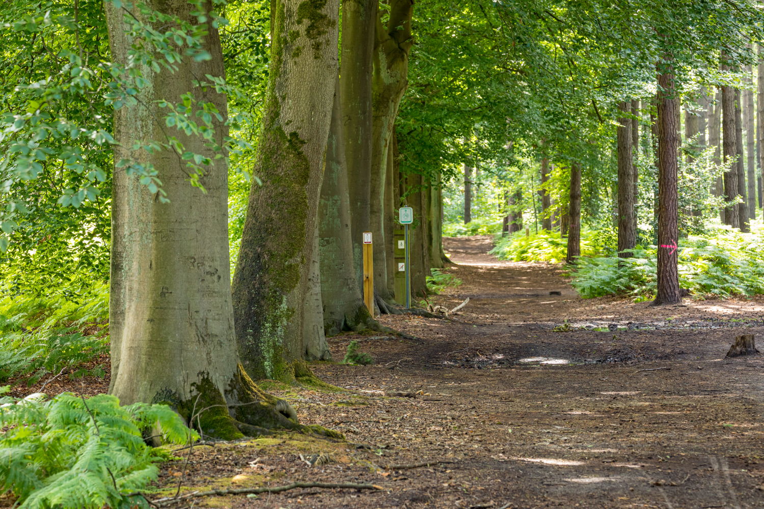 Het Kloosterbos