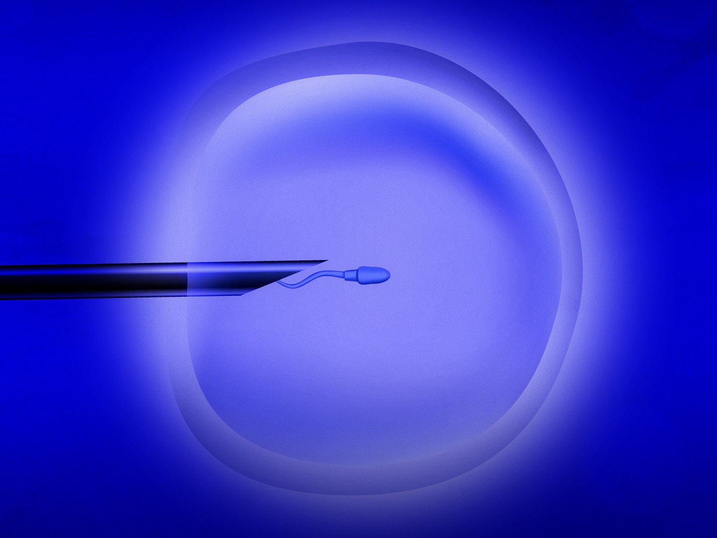 'IVF in België': Wetenschappers en ouders kijken terug op de begindagen van de IVF-behandelingen in België