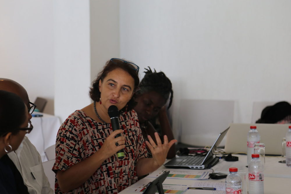 De gauche à droite : Valérie DENUX, Directrice de l'Agence Régionale de Santé de Guadeloupe Saint-Martin et Saint-Barthélémy et Dr. Carlene RADIX, Directrice de l'Unité Santé de l'Organisation des Etats de la Caraïbe Orientale