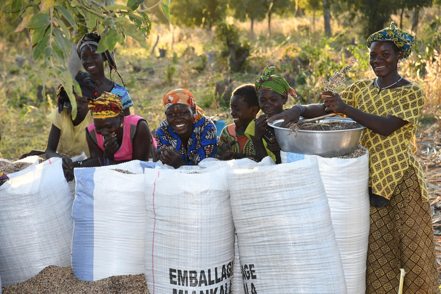 Women's farmers with millet crop in Africa.
