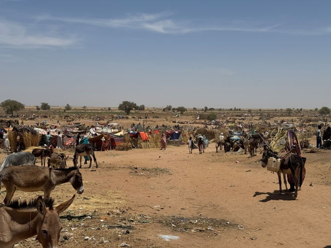 Tawila Umda, a 5 km de la ciudad de Tawila, campo donde se han alojado miles de familias llegadas de Zamzam. Abril de 2025. THIBAULT FENDLER/MSF Tawila Umda, a 5 km de la ciudad de Tawila, campo donde se han alojado miles de familias llegadas de Zamzam. Abril de 2025. THIBAULT FENDLER/MSF