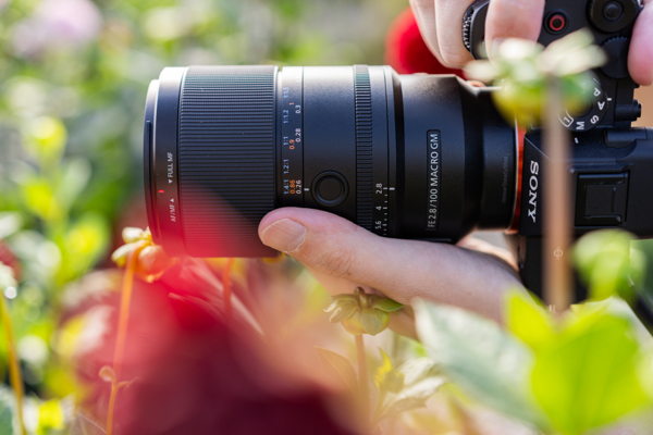 De Sony FE 100 mm F2.8 Macro GM OSS herdefinieert macrofotografie