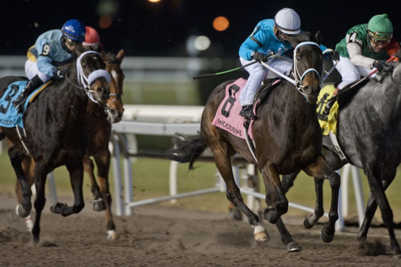 Silent Causeway and Justin Stein power down the Woodbine homestretch to capturing the La Prevoyante Stakes. (Michael Burns Photo) Silent Causeway and Justin Stein power down the Woodbine homestretch to capturing the La Prevoyante Stakes. (Michael Burns Photo)