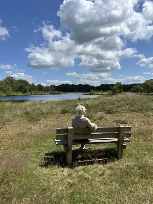 Omgeving Landal Landgoed Bourtange