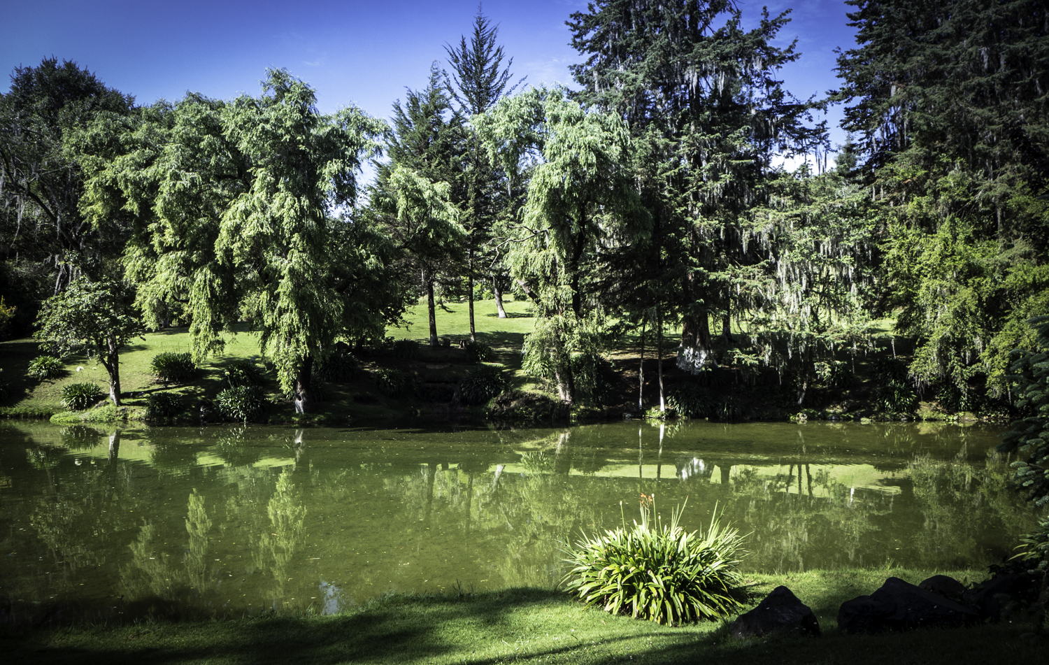 Manantial, Reserva Sta. María