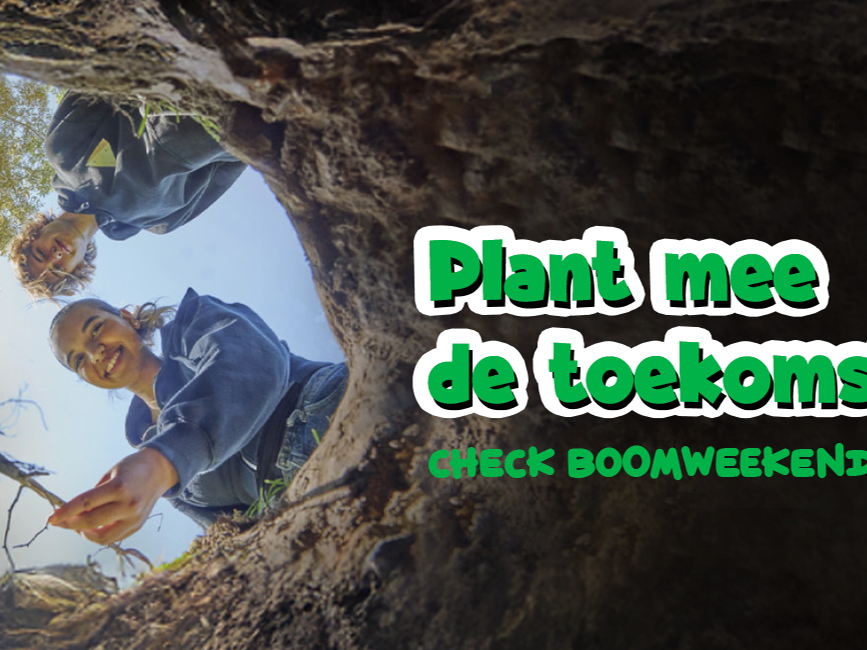 BOOM SHAKALAKA BOOM! Scholen en jeugdbewegingen planten samen de toekomst tijdens het BOOMweekend.