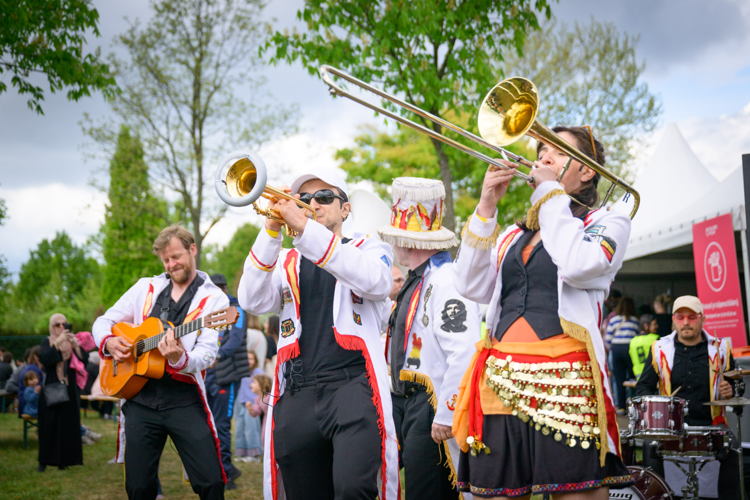 Tulpenpluk 2025, foto Wim Hadermann