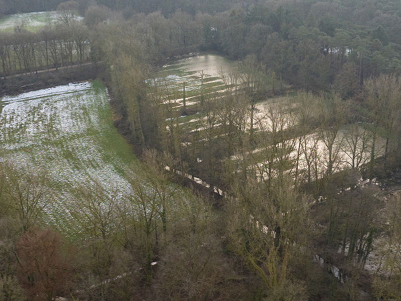 Zoerselbos breidt uit met 27,4 hectare