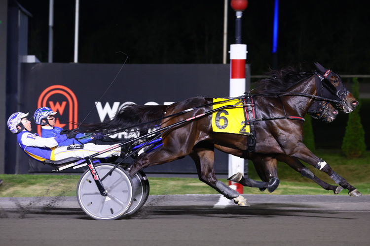 Drawn Impression and driver Louis-Phillippe Roy winning the first Elegantimage elimination on September 14, 2024 at Woodbine Mohawk Park (New Image Media) Drawn Impression and driver Louis-Phillippe Roy winning the first Elegantimage elimination on September 14, 2024 at Woodbine Mohawk Park (New Image Media)