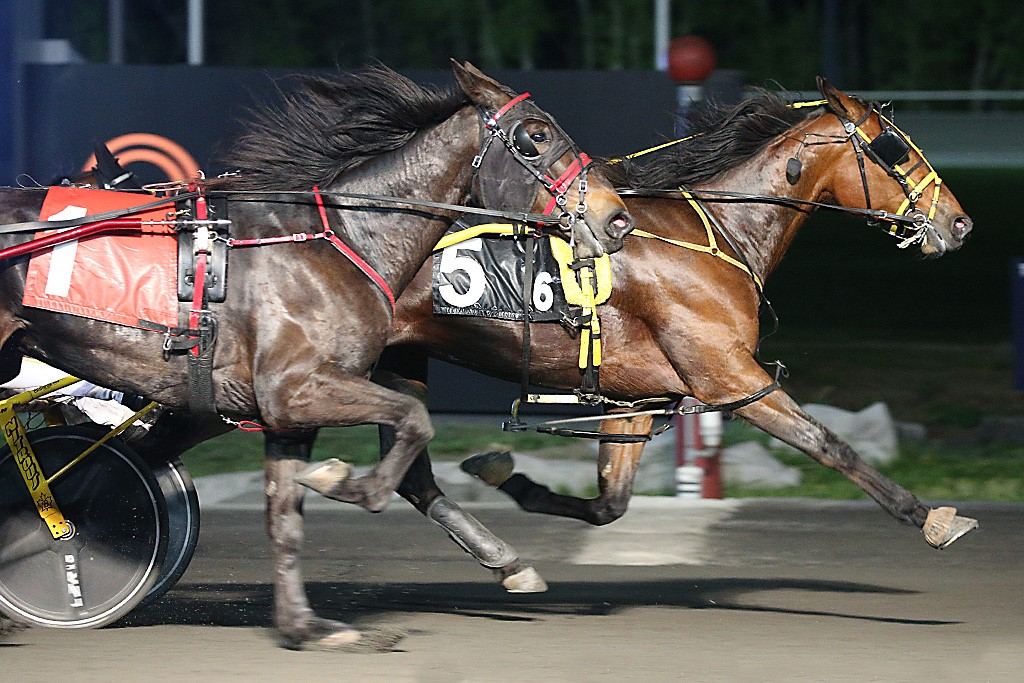 Evil Guy prevails at the inside in an elimination of the SBOA Trot. (New Image Media)