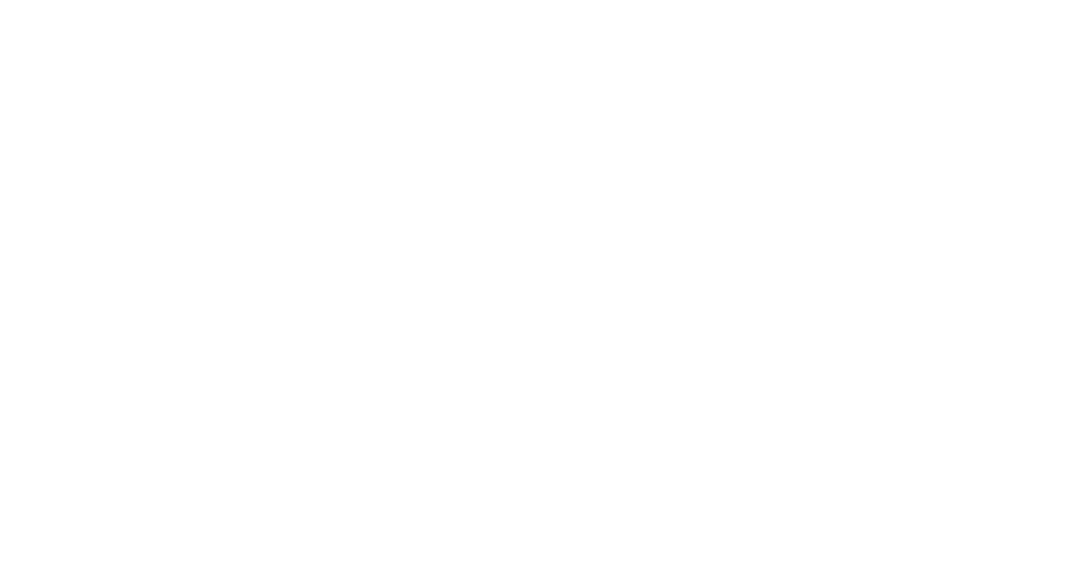 Business Logo MSI weiß