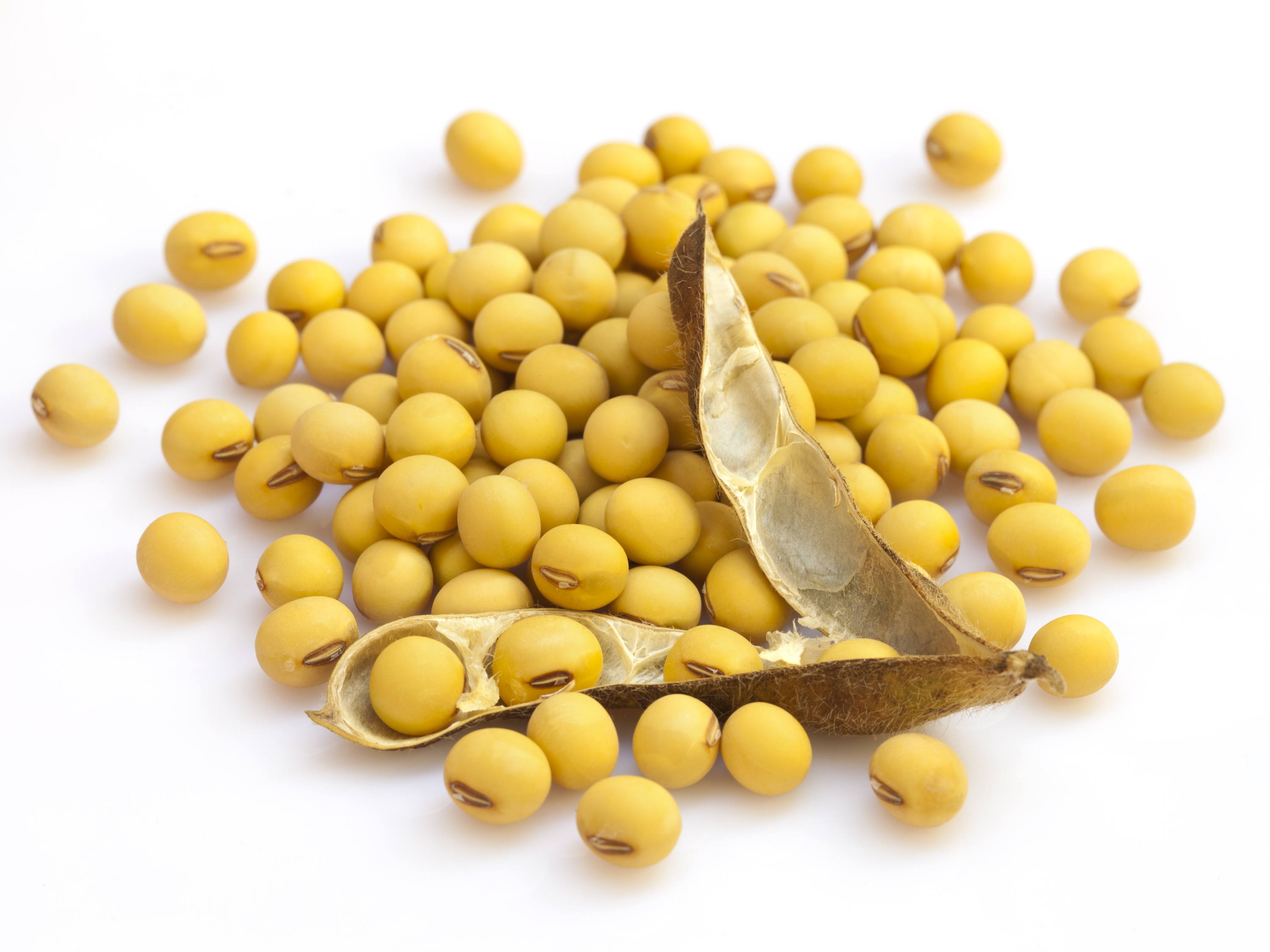 An update on CRISPR-Cas Genome editing in plants