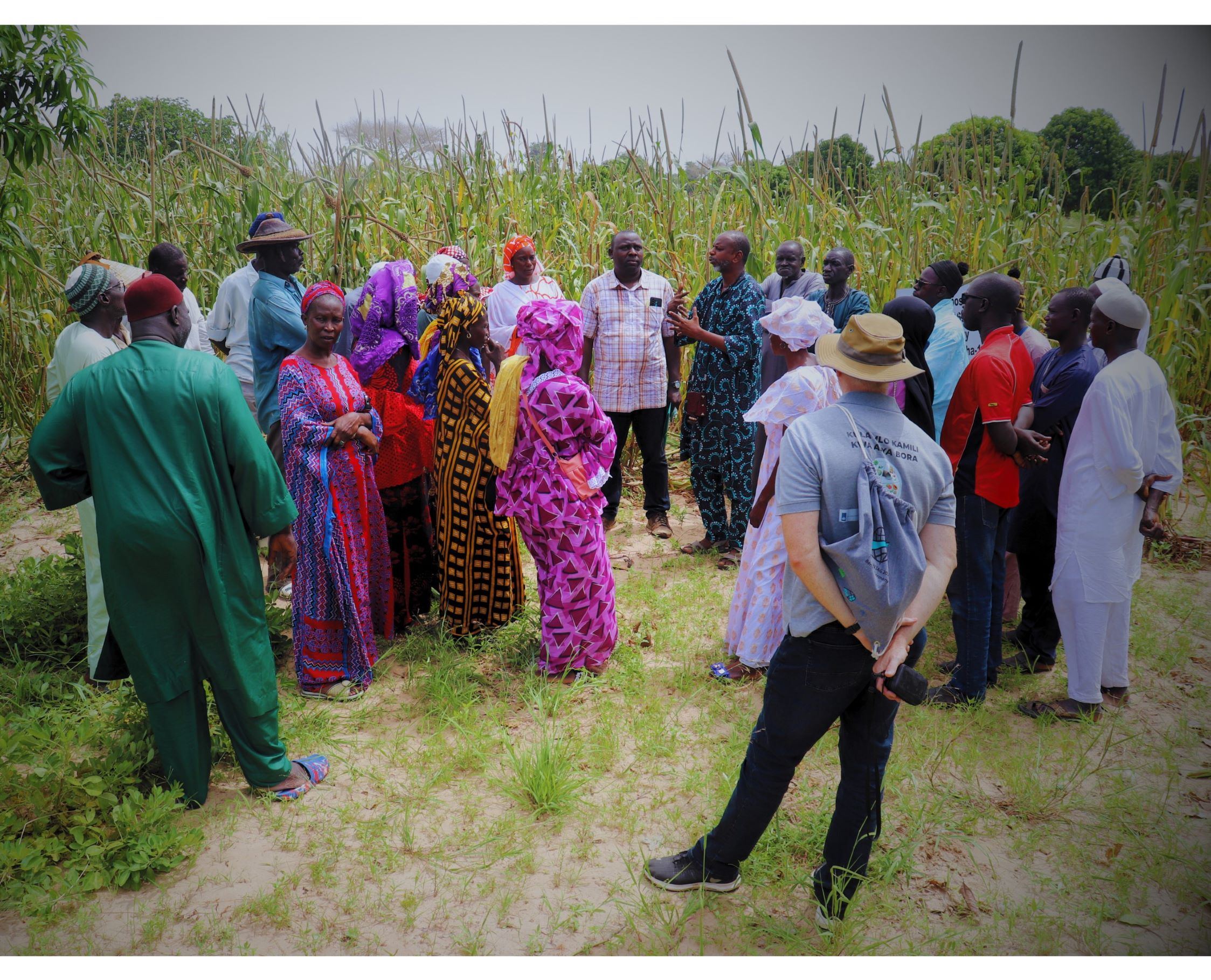 Enhancing Farmers' Resilience in Senegal 