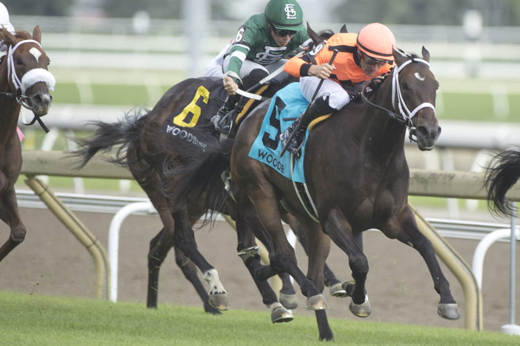 Mohawk Trail and jockey Adam Beschizza winning the Ontario Colleen Stakes on July 22, 2023 at Woodbine (Michael Burns Photo)