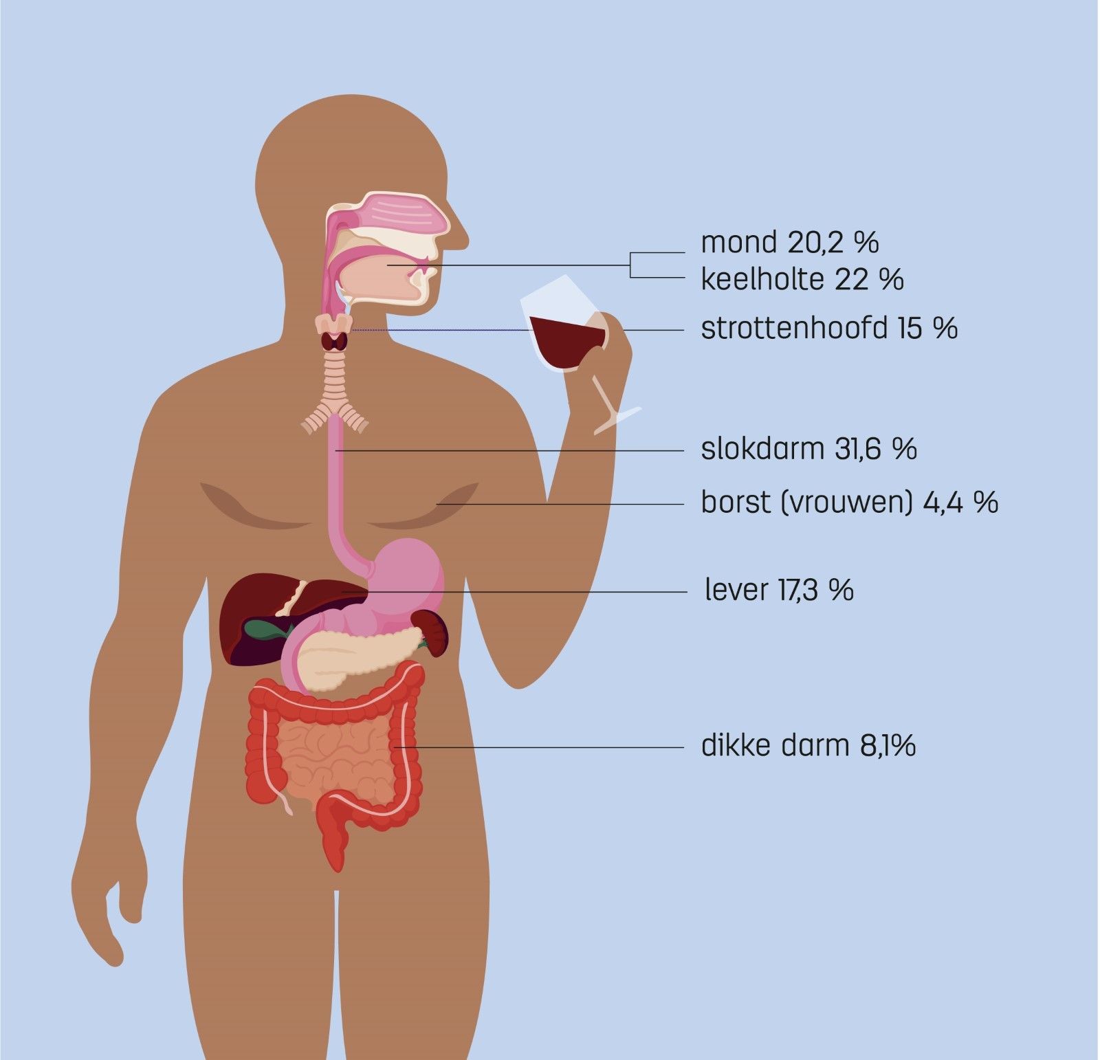 Percentage per type kanker dat veroorzaakt wordt door alcohol. ​
Gebaseerd op: Rumgay H, Shield K, Charvat H, et al. Global burden of cancer in 2020 attributable to alcohol consumption: a population-based study. Lancet Oncol. 2021; 22: 1071-1080.