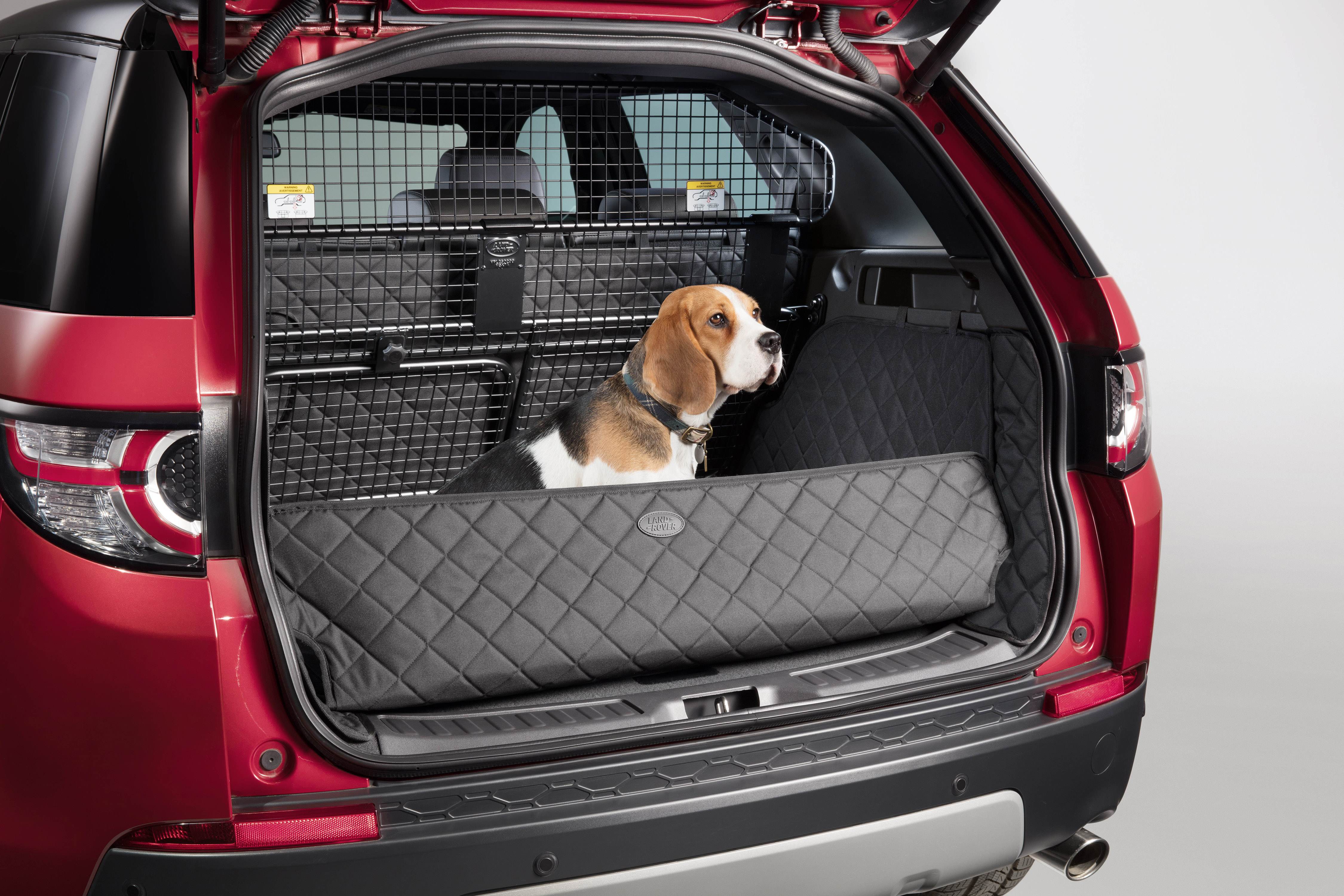 Land Rover lance des accessoires dédiés aux chiens