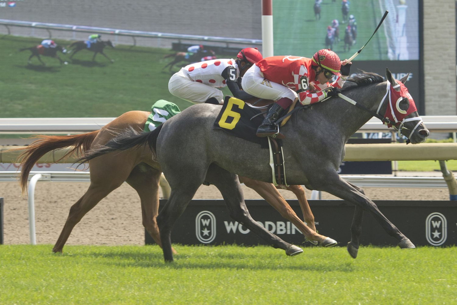 Courtly Ro and jockey Kazushi Kimura winning race 3 on August 20, 2022 at Woodbine (Michael Burns Photo)