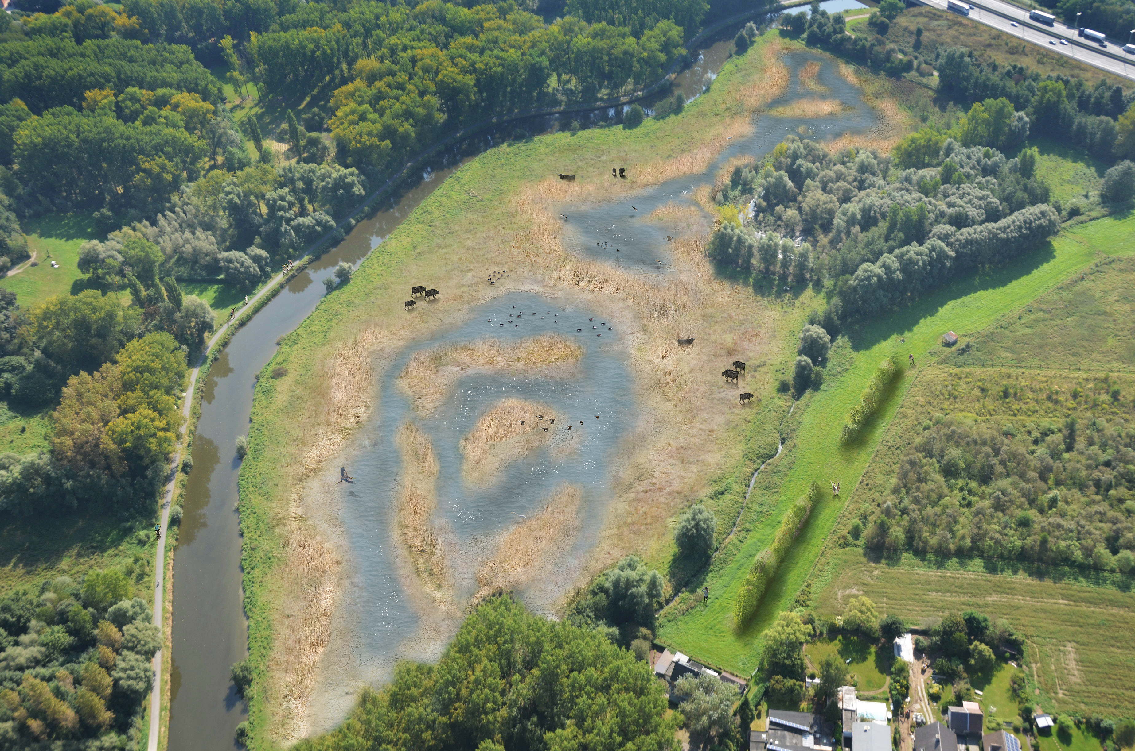 Start natuurinrichtingswerken Wellemeersen en Oude Dendermeersen