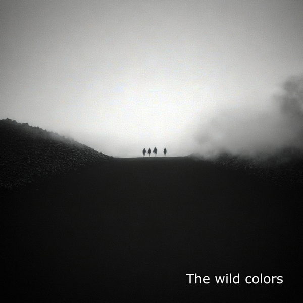The Wild Colors et leur univers entre groove et intensité