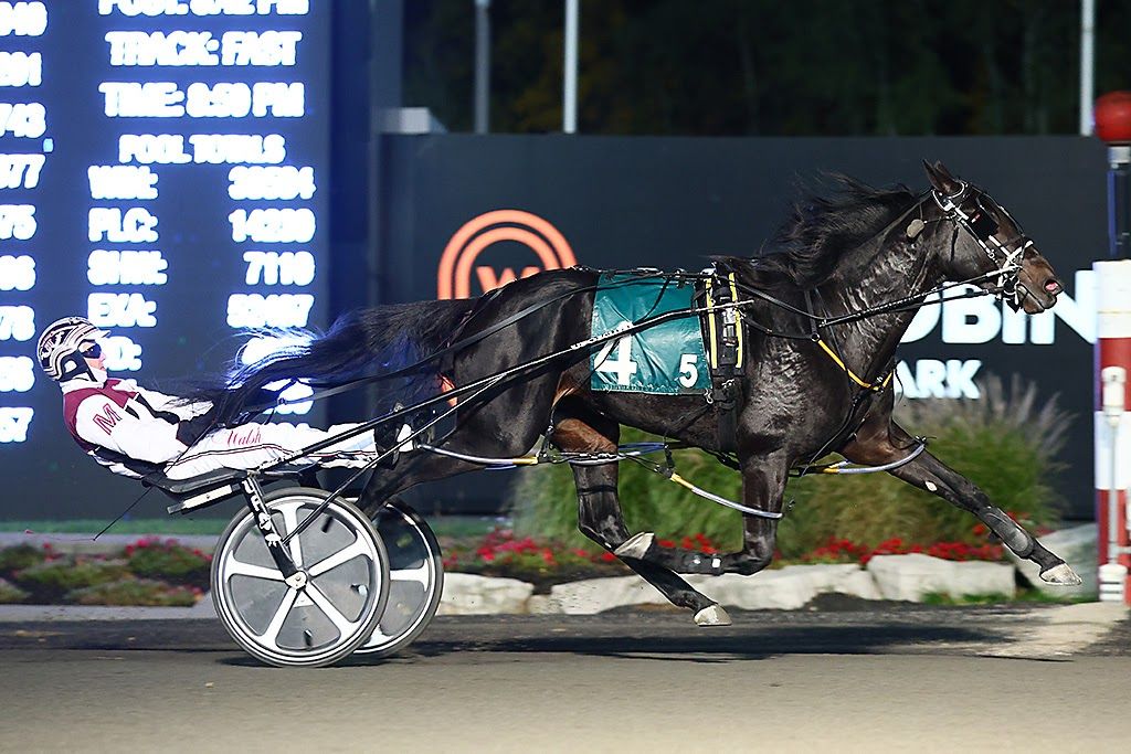 Silver Label and driver Doug McNair winning the OSS Super Final on October 15, 2022 at Woodbine Mohawk Park (New Image Media)