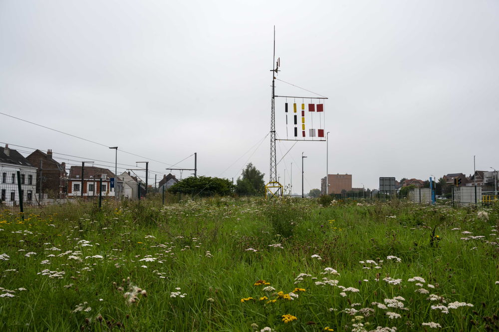 Sluis 9© Bea Borgers-4