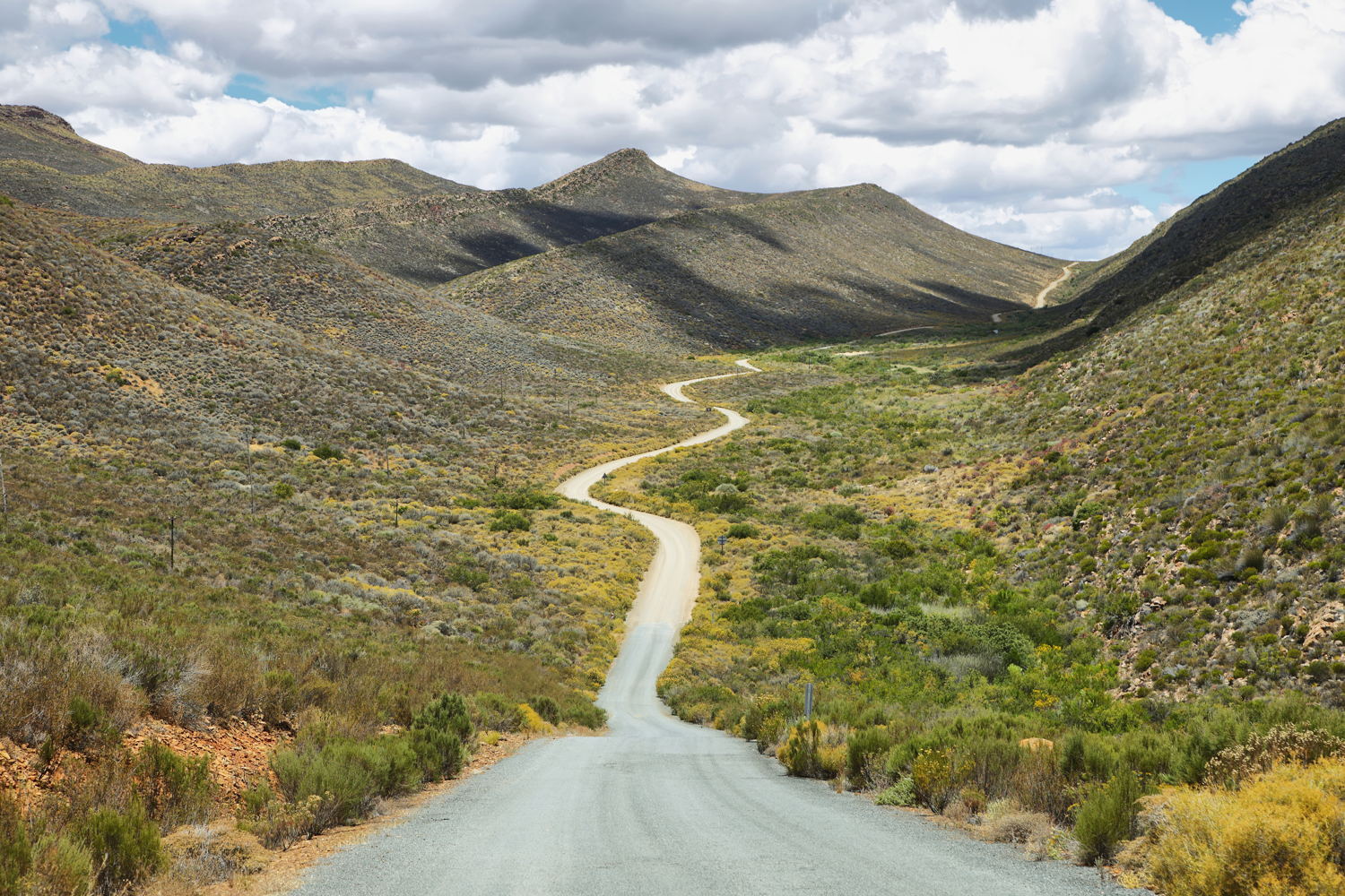 Cederberg Afrique du Sud