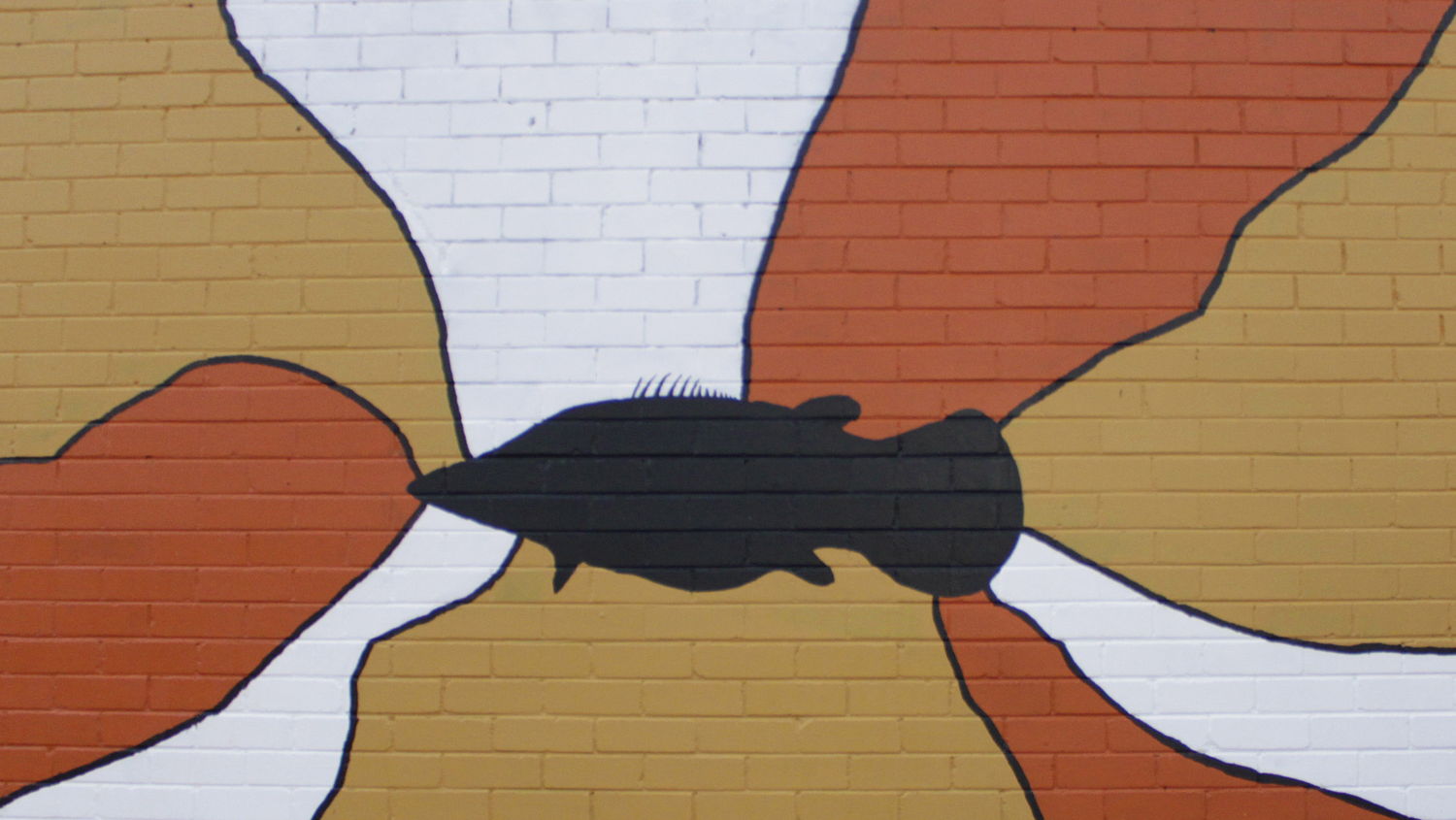 One of the Two Way Project murals in Canberra. Image: Adam Spence, ANU.