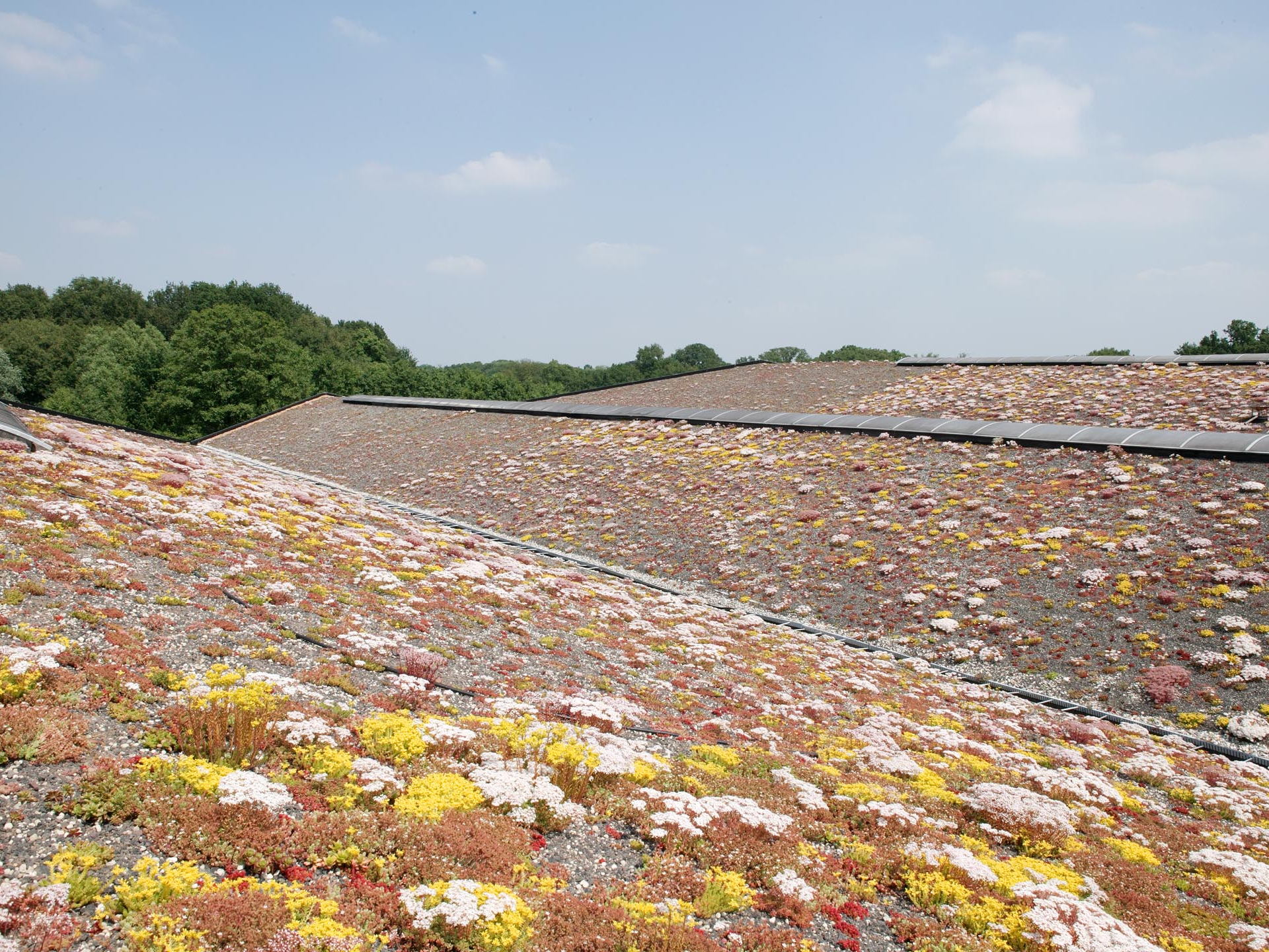 Ecover gaat voor minimale waterimpact