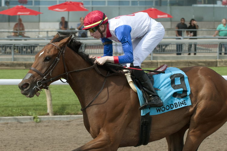 Sir for Sure, under Declan Carroll, earn the Plate Trial Stakes on Sunday at Woodbine. (Michael Burns Photo)