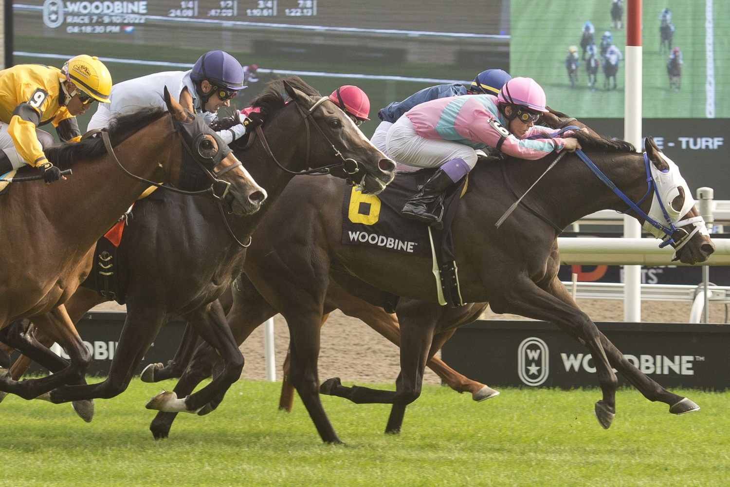 Luckman and jockey Daisuke Fukumoto winning the Toronto Cup on September 10, 2022 at Woodbine (Michael Burns Photo)
