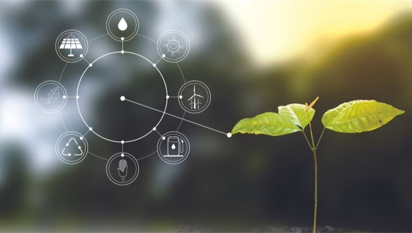 Nurturing Agricultural Resilience: Crop Modelling and Climate Strategies Unveiled at Senegal Workshop