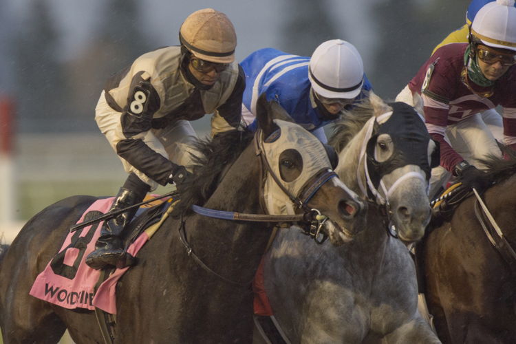 Patrick Husbands and Might Heart would not be denied conquering the field on November 14 to claim the Grade 2 Autumn Stakes at Woodbine. (Michael Burns Photo)