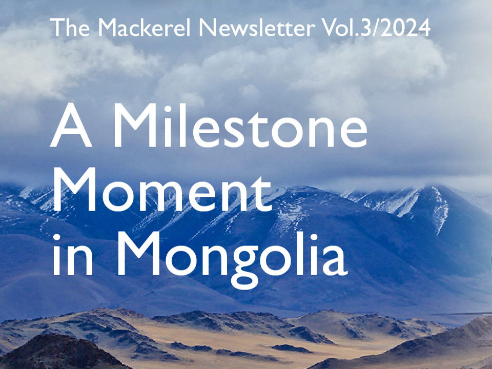 The Mackerel Newsletter 2024