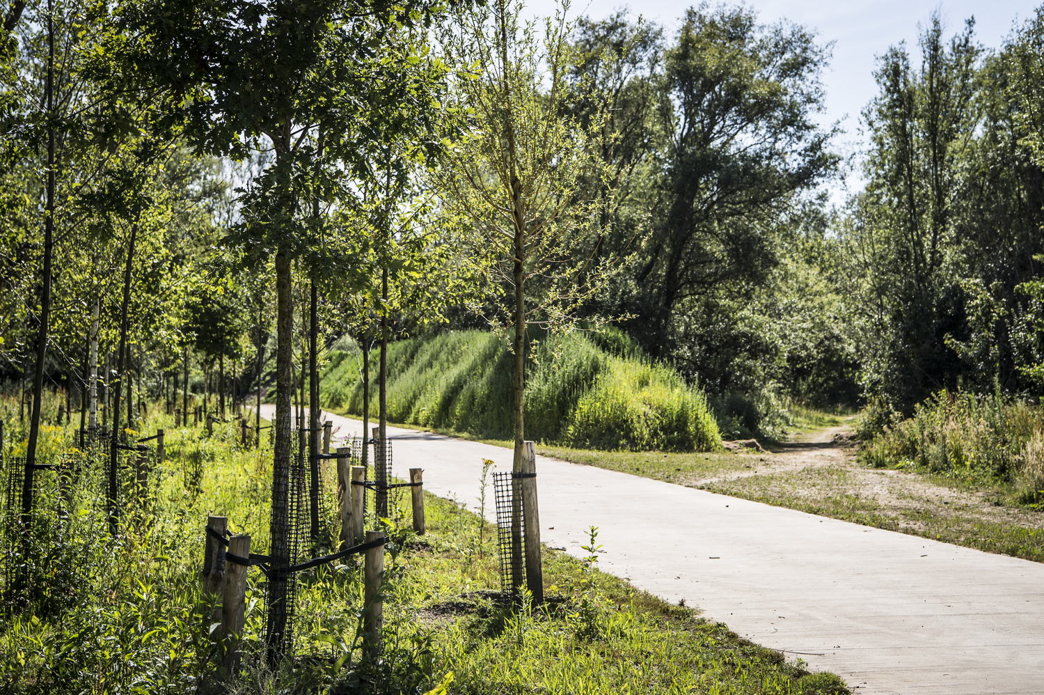 Park Groot Schijn © Sigrid Spinnox