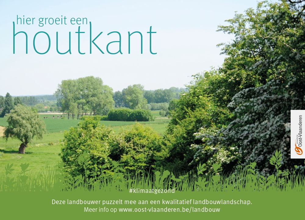 infobord houtkant