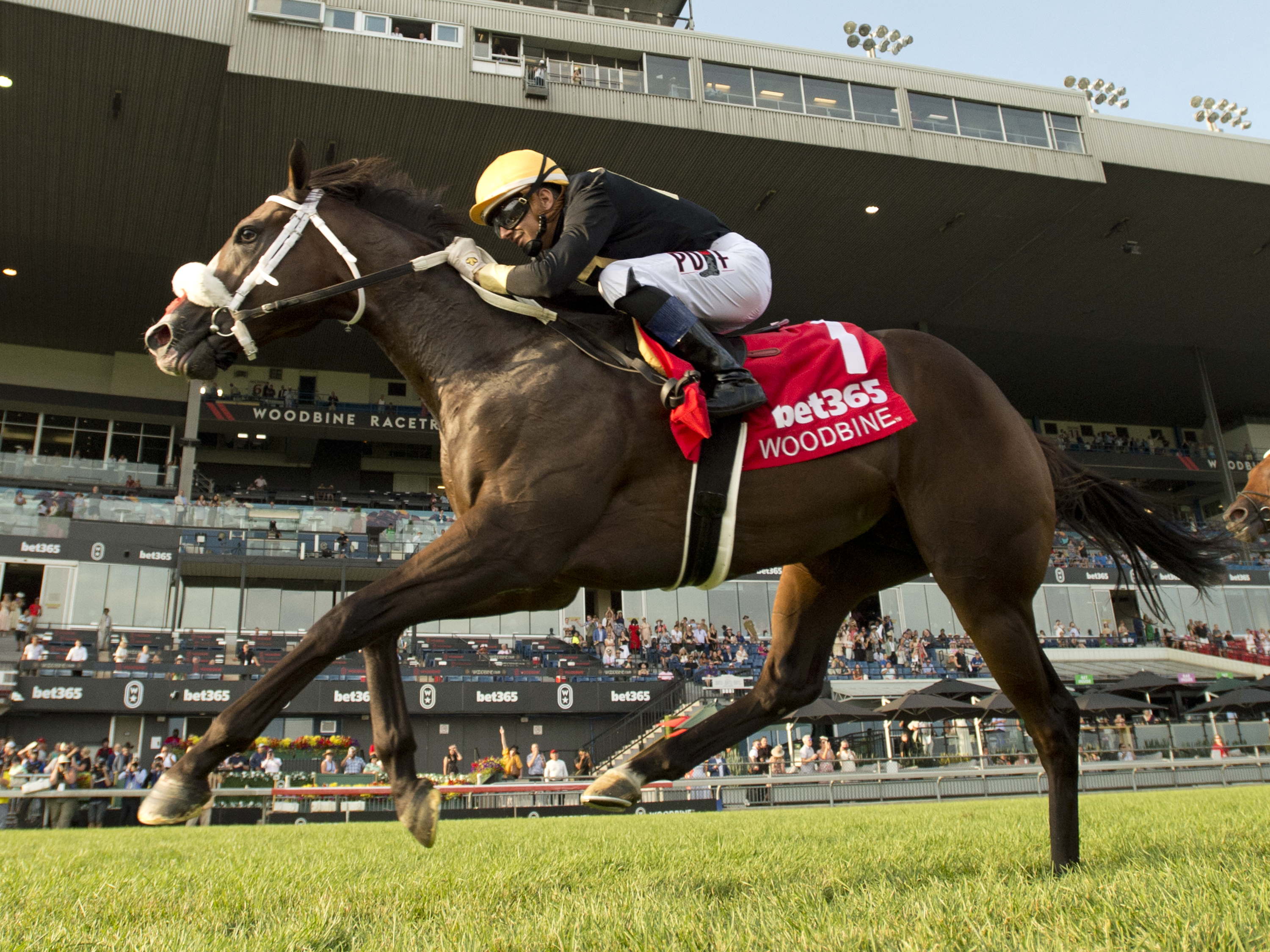 Attard scores natural hat trick, wins Soaring Free with Two Out Hero