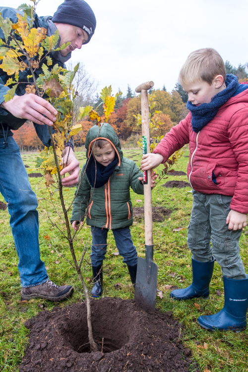Gezinnen helpen bij plantactie Hospicebossen Nazareth - copyright Lieven Van Assche