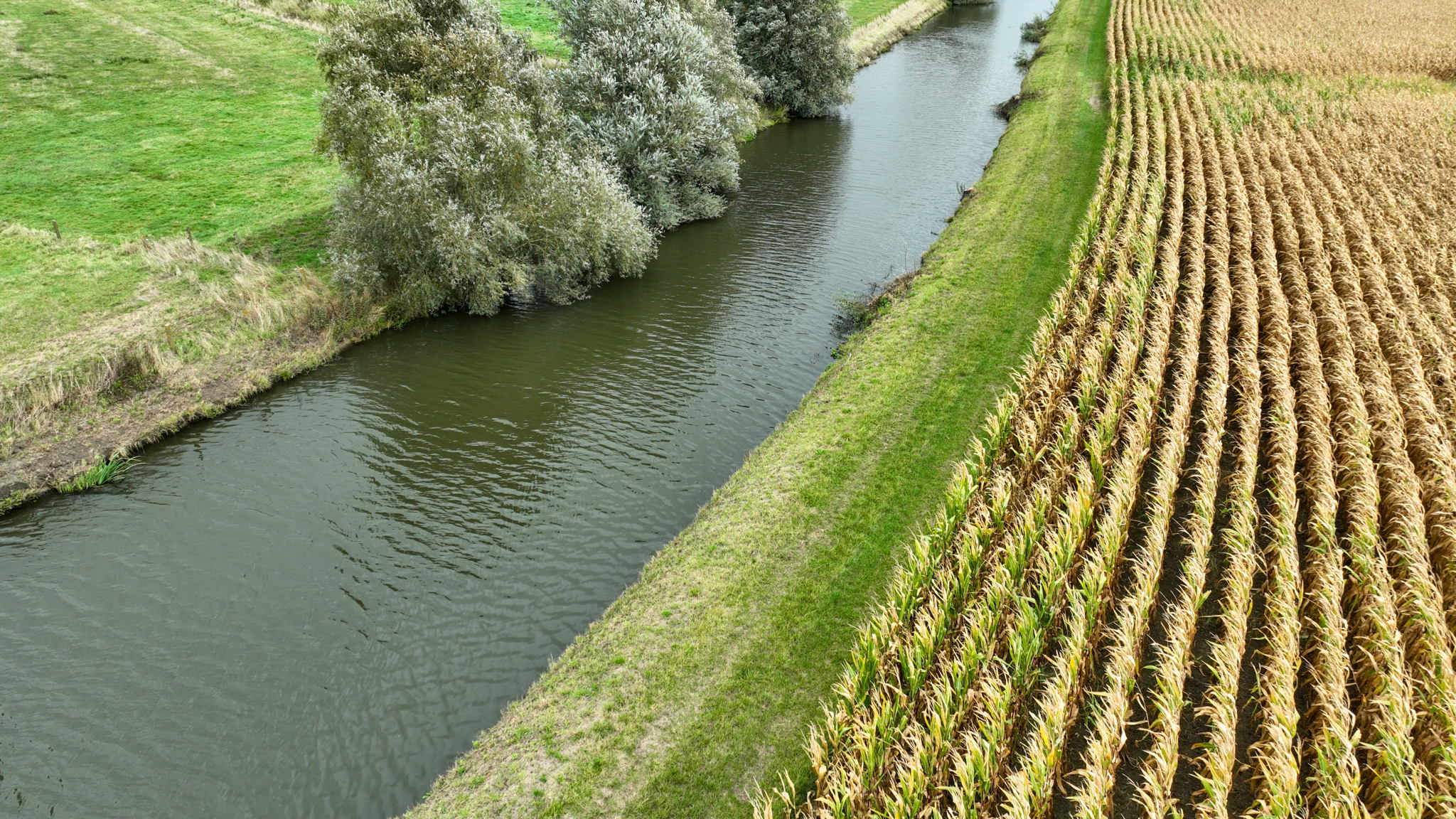 Beschermingsstrook langs Handzamevaart - copyright Tom Lagaeysse, Vlaamse Landmaatschappij
