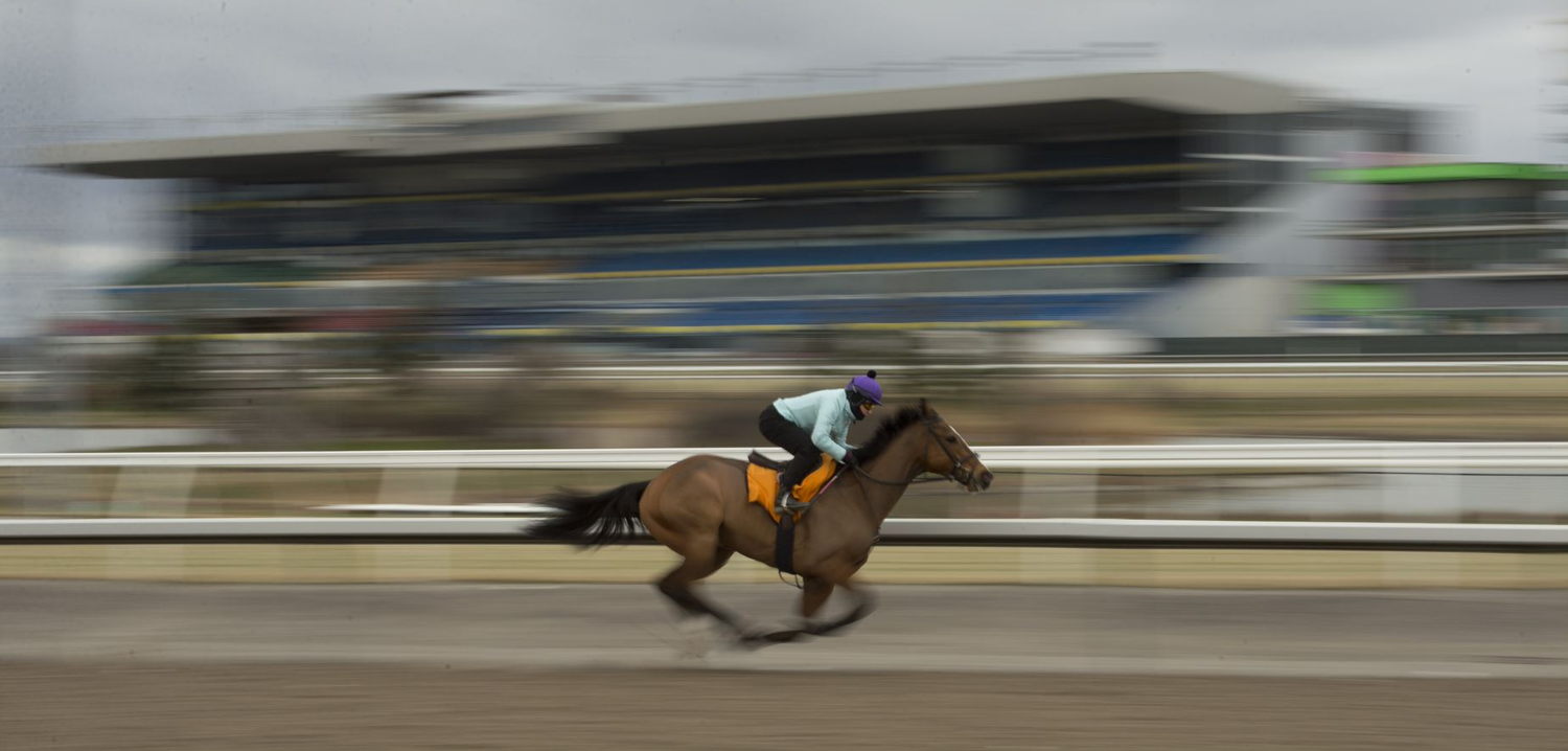 Woodbine returns this Saturday for 2022 Thoroughbred racing. (Michael Burns Photo)