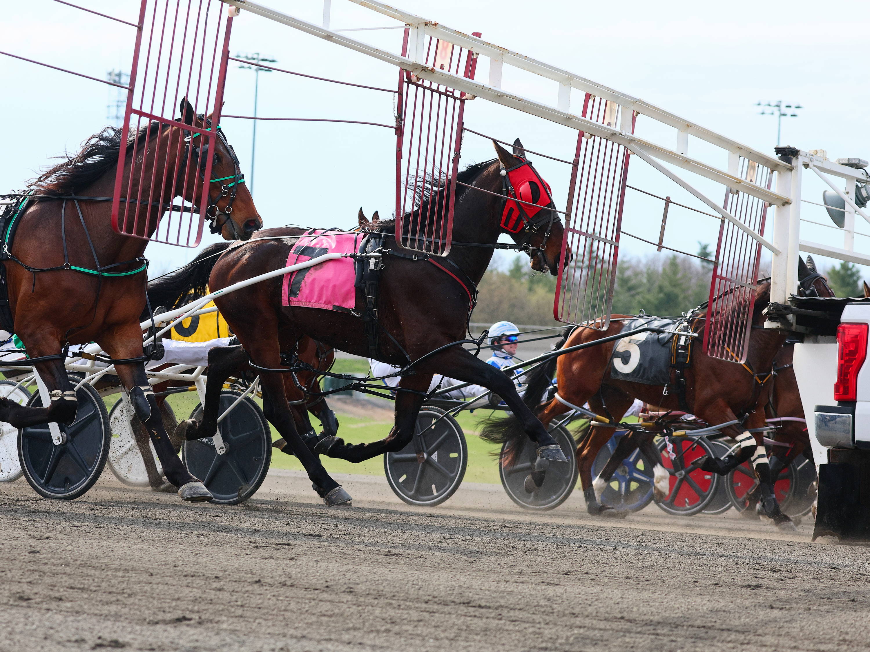 Ontario Sired 3-Year-Old Pop Up Series Reminder