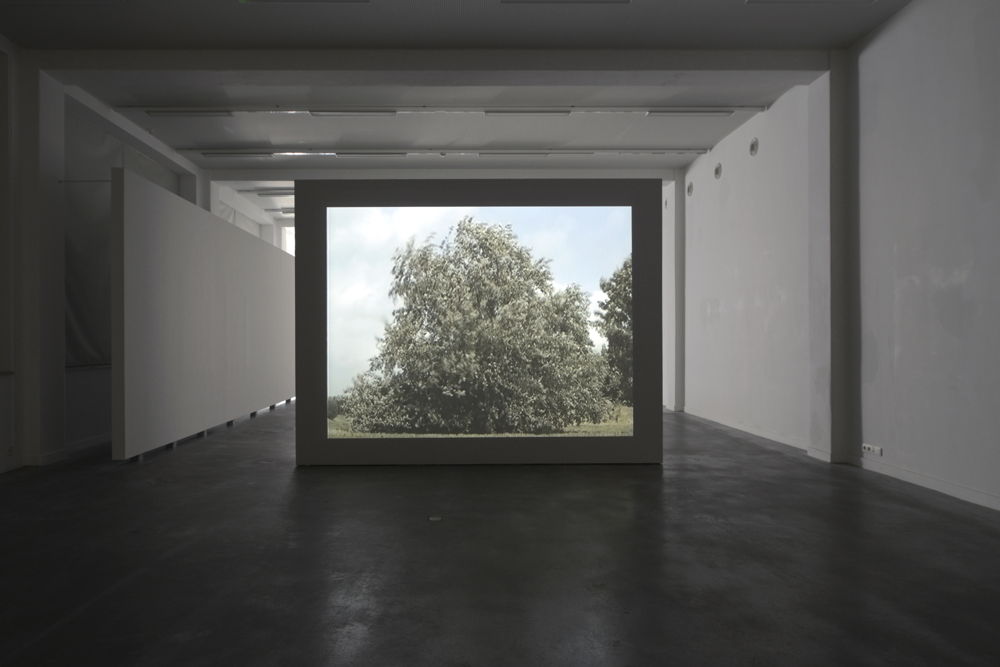 David Claerbout, Boom, Tree, Arbre, 1996 (still) © Isabelle Arthuis