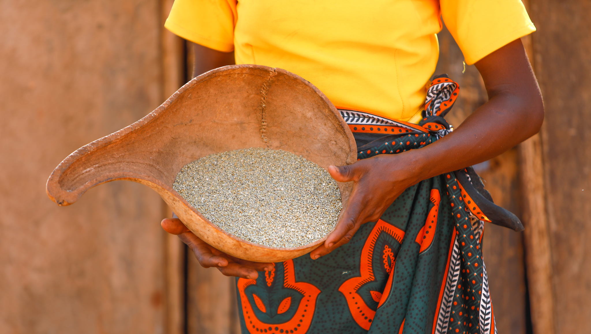 Empowering Women Through Smart Food Training in Balleyara, Niger