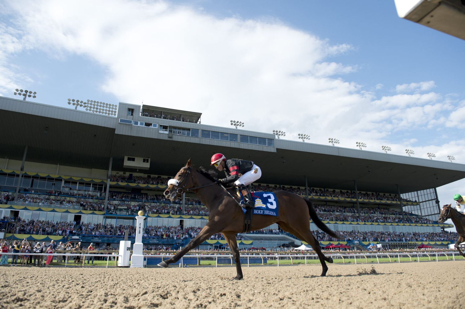 Holy Helena and jockey Luis Contreras winning The Queen's Plate in 2017 (Michael Burns Photo)